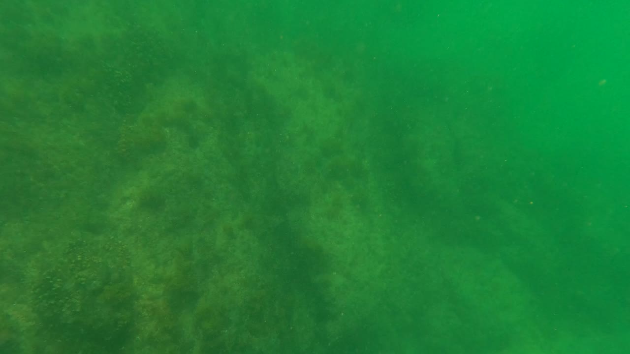 Submerged rocky seabed in San Jose del Cabo with darker rocks at left, green water haze, and no visible people.