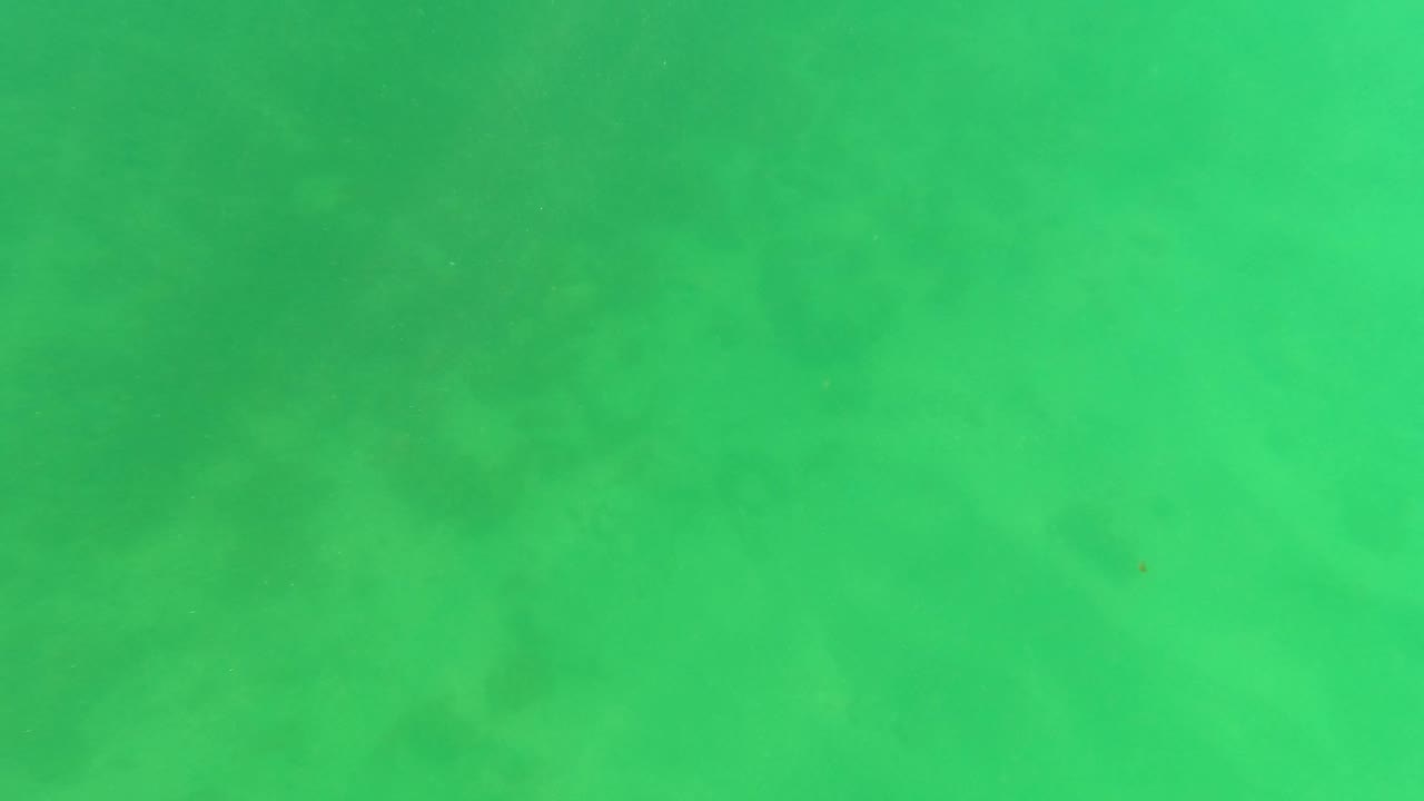 Opening underwater frame in San Jose Del Cabo showing green shallow water above a muted sandy bottom with no visible people.