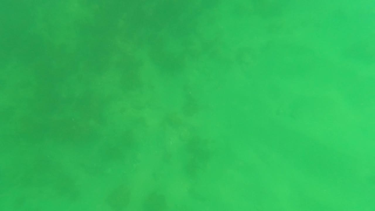 Shallow green water with a faint sandy bottom.