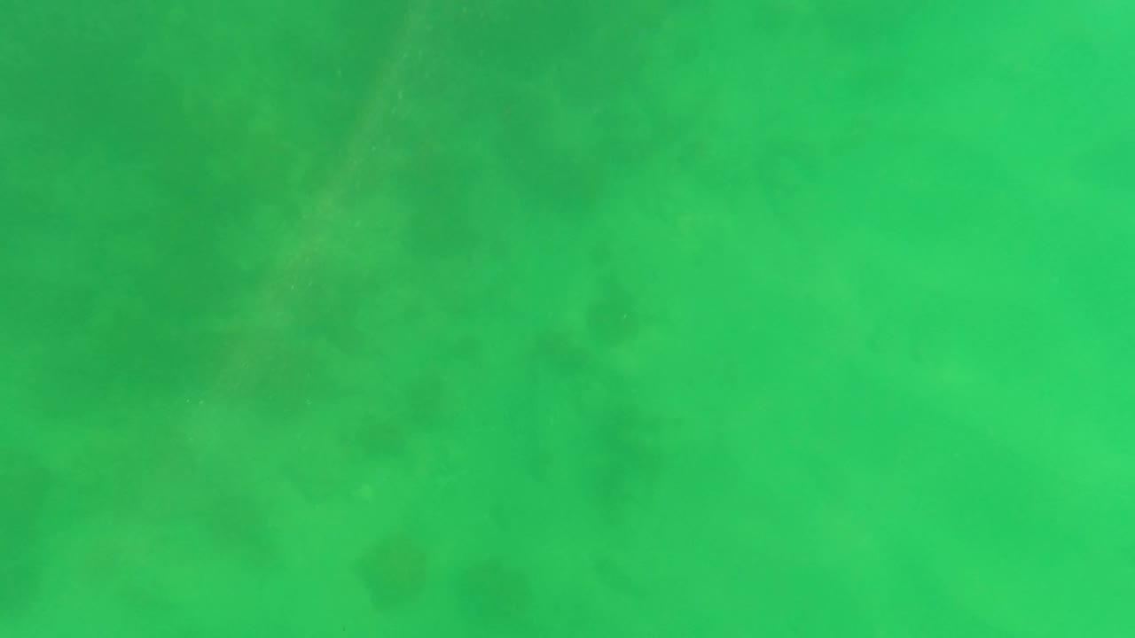 Mid-clip underwater frame in San Jose Del Cabo with the sandy bottom softened by green water and no visible people.