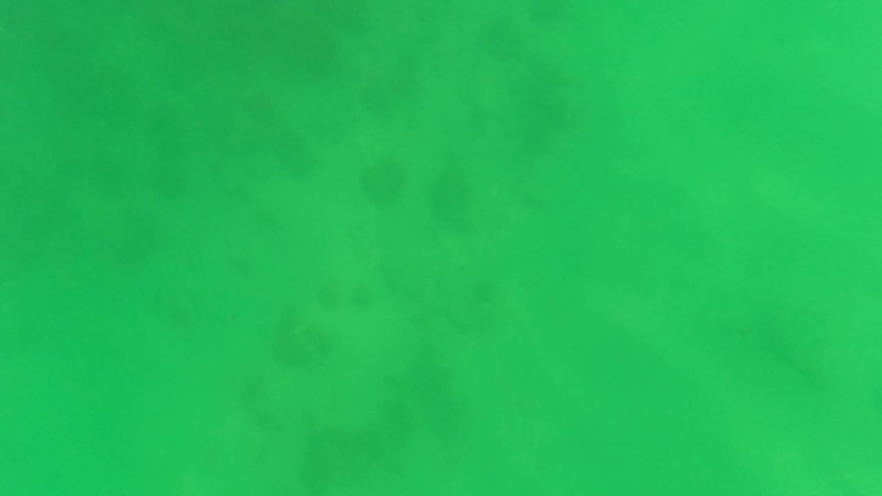 Diffuse green submerged water in San Jose Del Cabo, Mexico, with darker cloudy patches and no visible people.