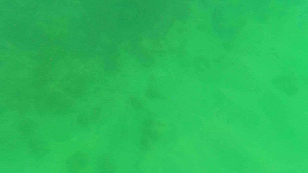 Darker green-tinted underwater water in San Jose Del Cabo, Mexico, with broad cloudy texture and no visible people.