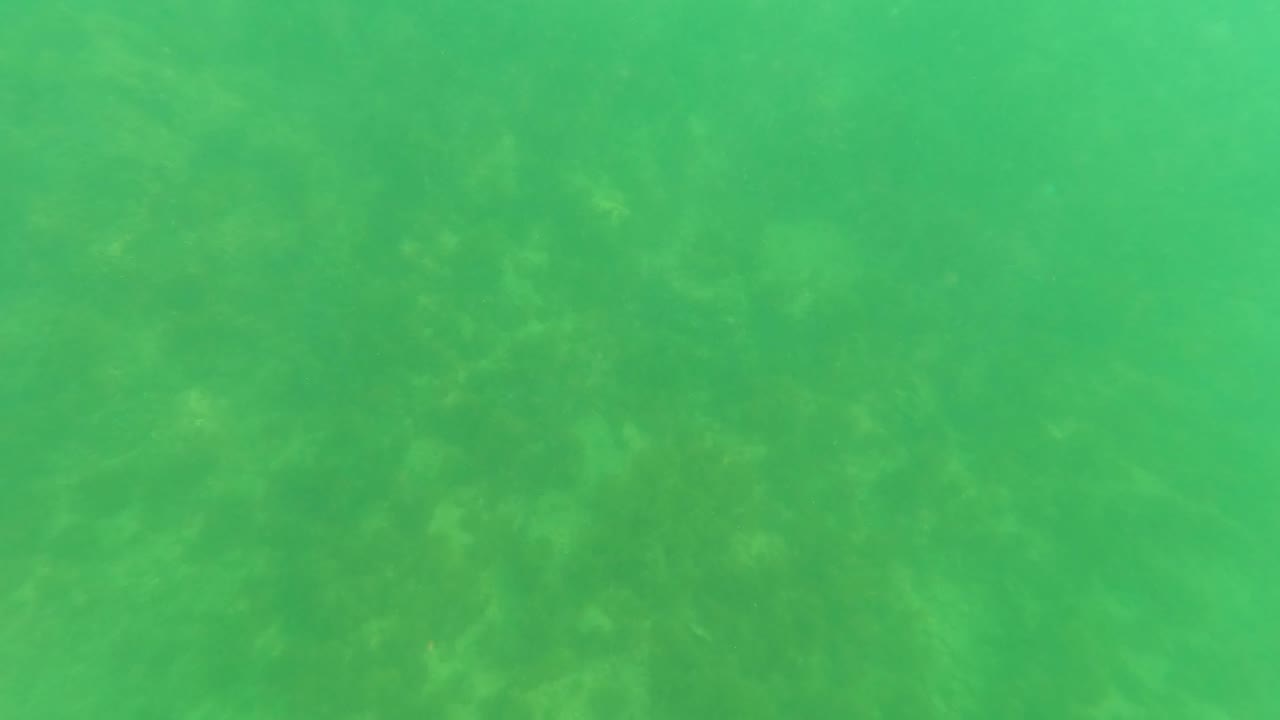 Green underwater view over a rocky seabed