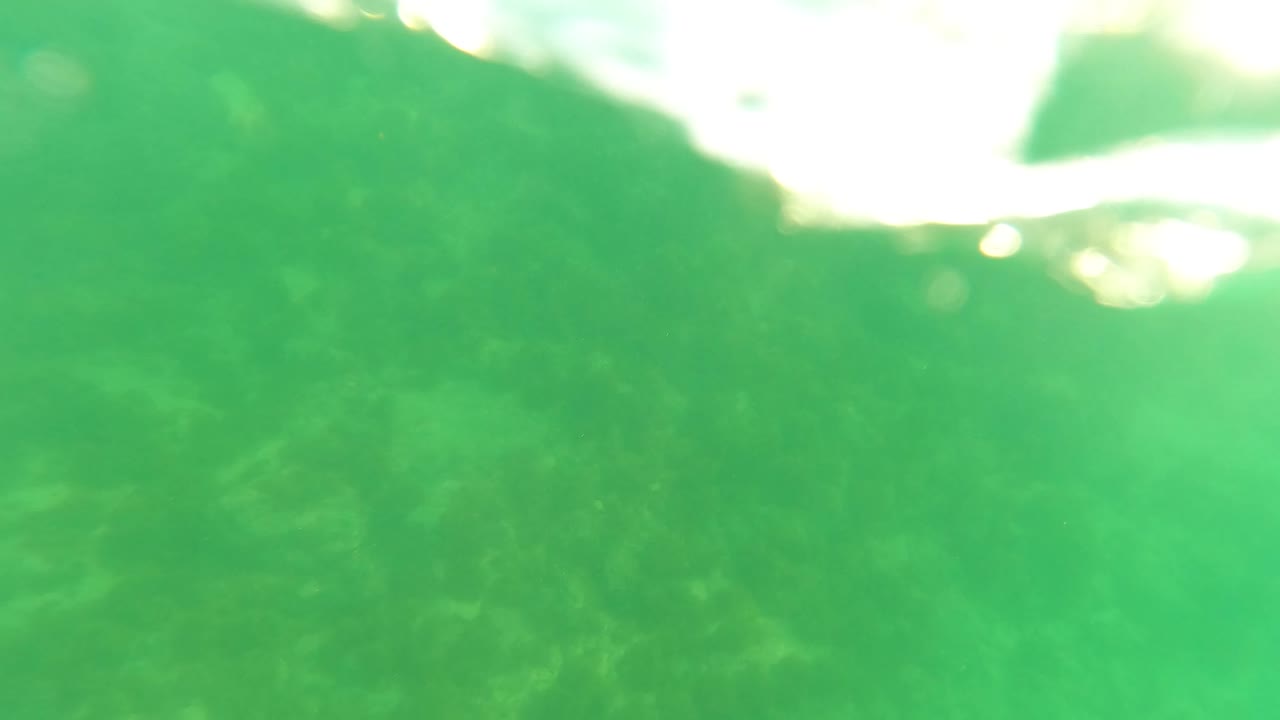 A submerged San Jose del Cabo frame shows green water over uneven rocks and faint marine growth, with no visible people.