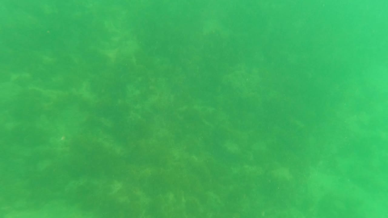 Bright light near the water surface appears above the green underwater view of rocky seabed in San Jose del Cabo, with no visible people.