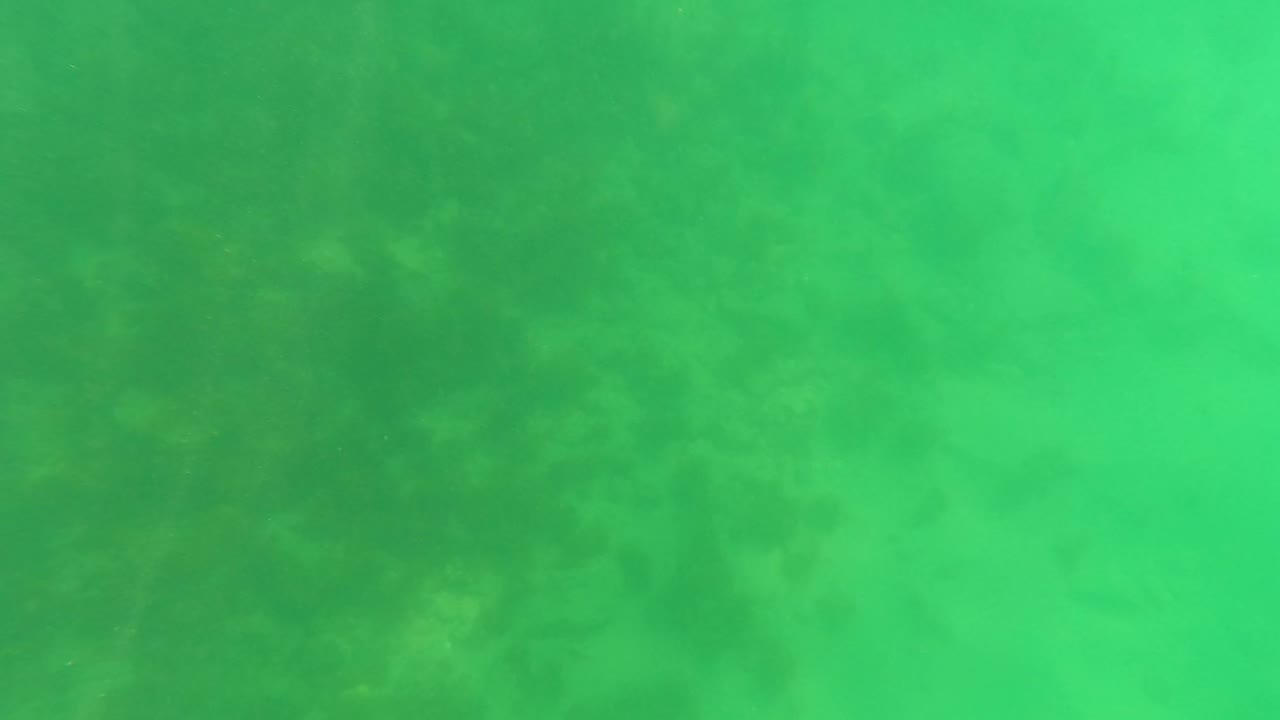 Second frame shows a green underwater ocean floor in San Jose del Cabo, Mexico, with muted algae patches spreading across the seabed and no visible people.