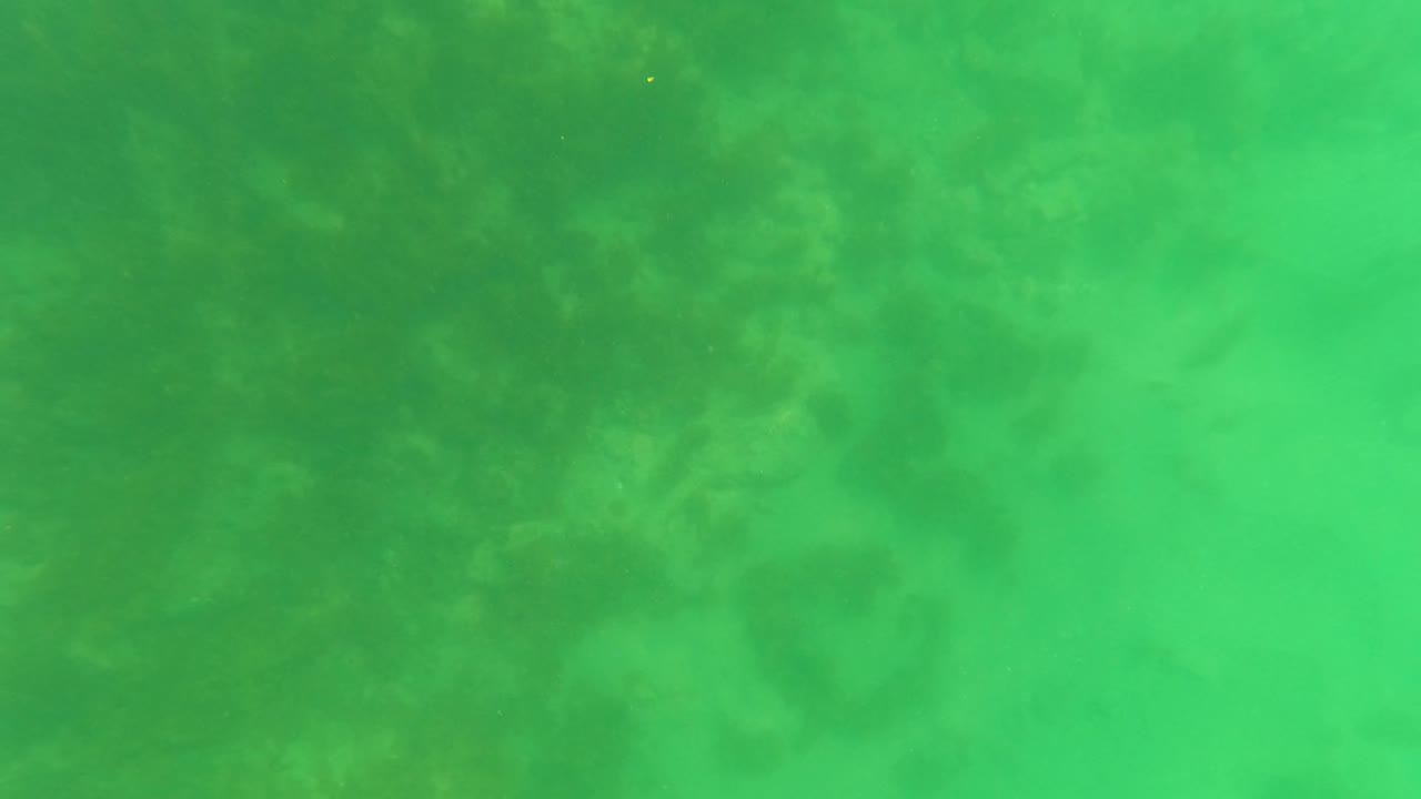 Mid-early frame shows shallow green water over the seabed in San Jose del Cabo, Mexico, with faint darker patches of marine growth and no visible people.