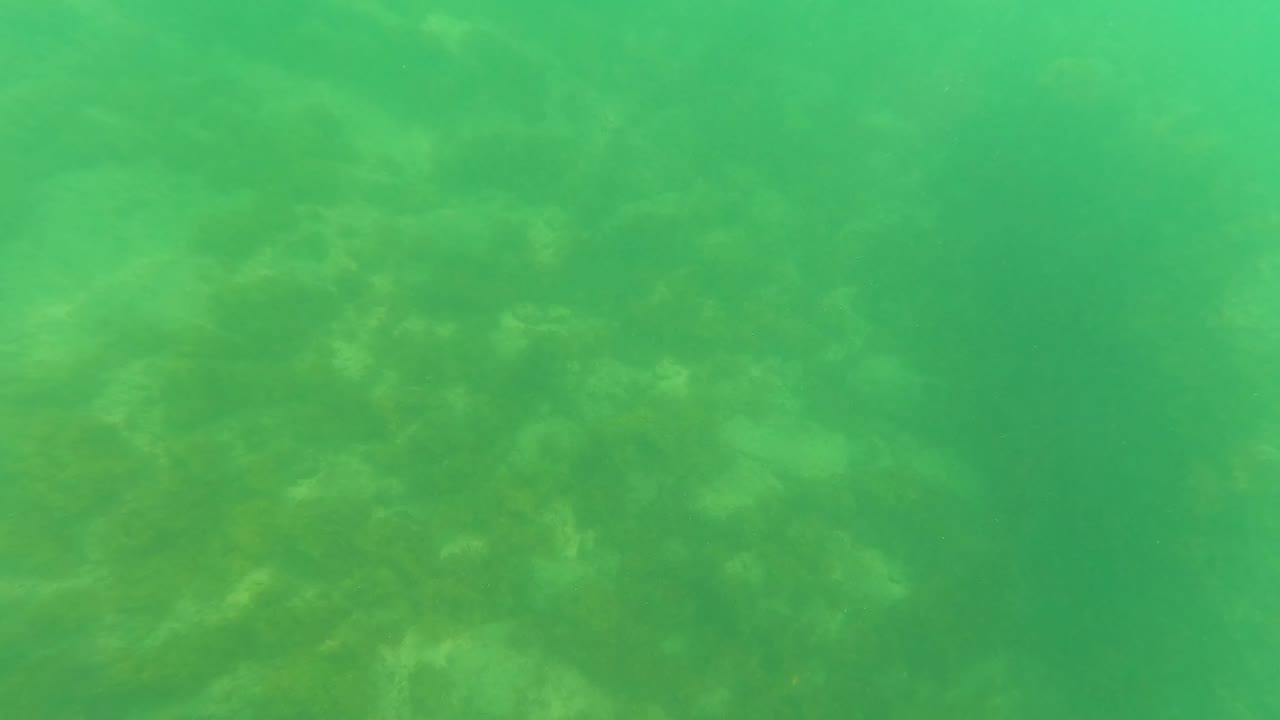 Underwater rocks seen through green water.