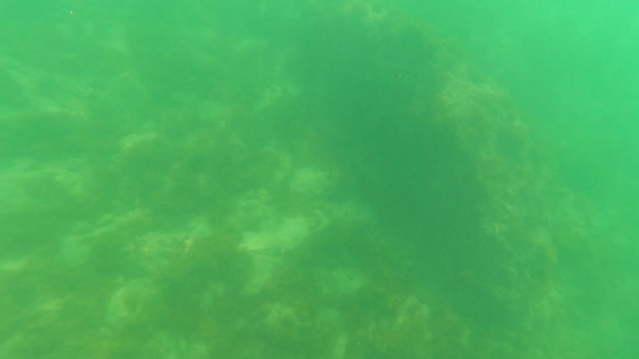 Green water in San Jose Del Cabo covers a low-contrast rocky seafloor, with diffuse light and no visible people.