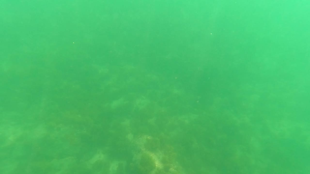 Green underwater view with faint seabed and submerged structure