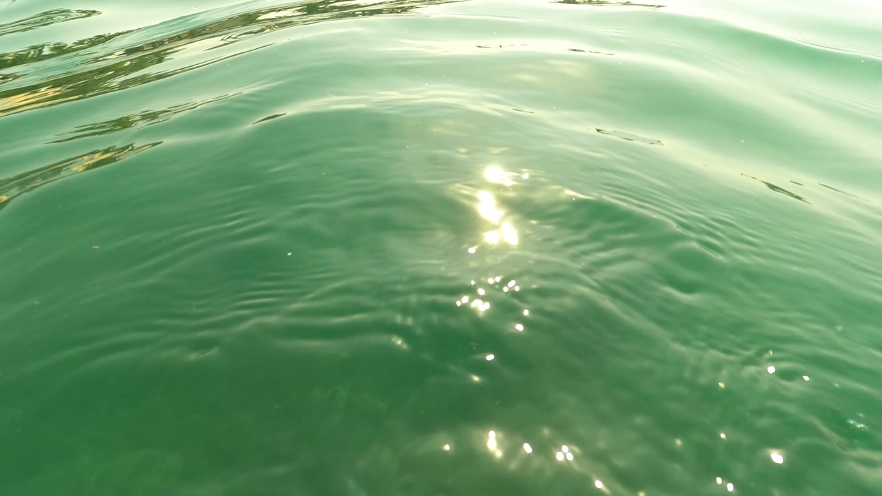 The camera faces the green water surface in San Jose del Cabo as ripples catch bright sunlight, with no visible people.