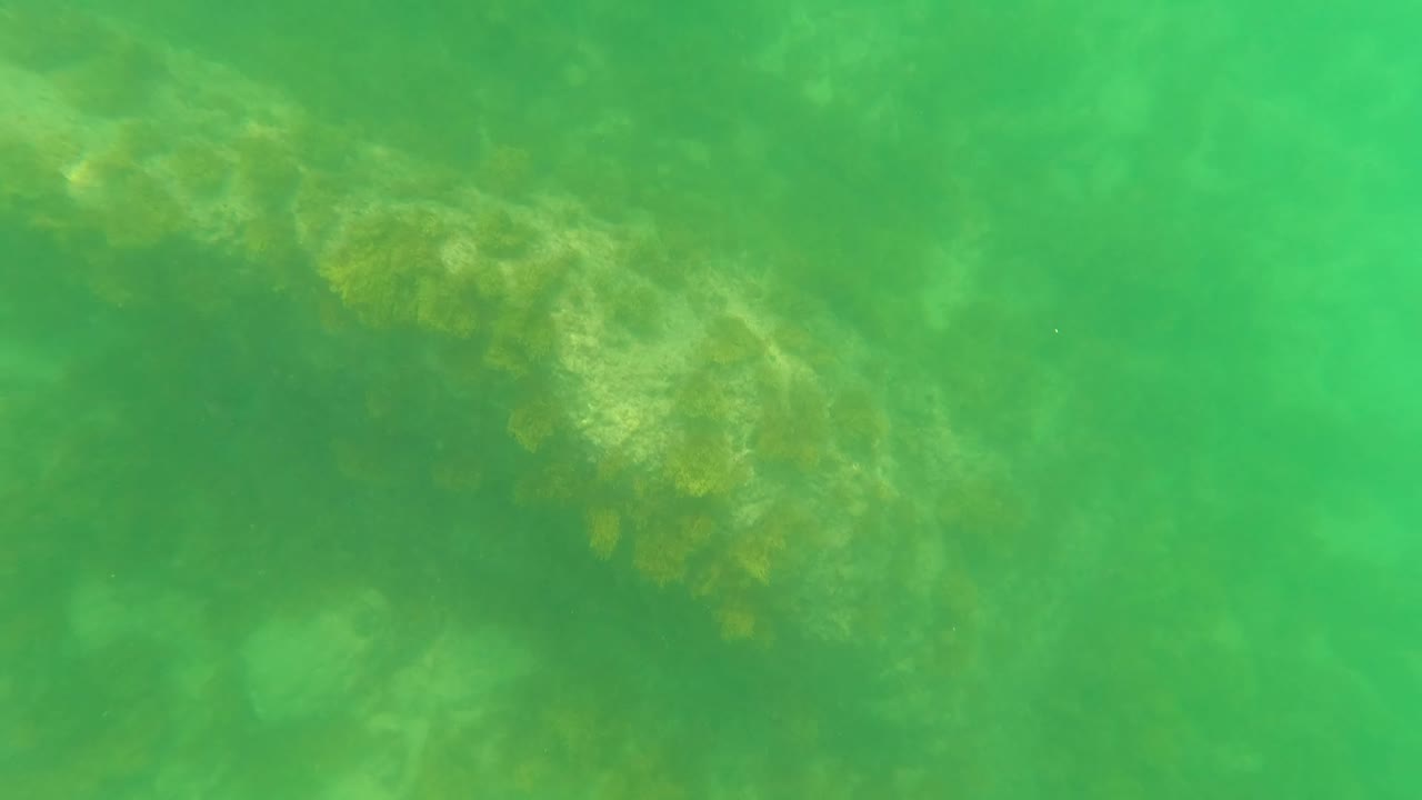 A larger algae-covered submerged structure fills the left side of the San Jose del Cabo underwater frame, with green water and no visible people.