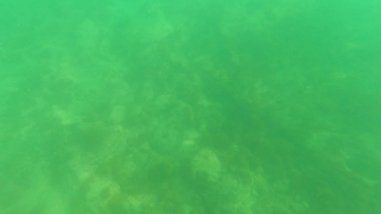 Green underwater view in San Jose del Cabo, Mexico, with hazy seabed texture and marine growth visible below, no visible people.