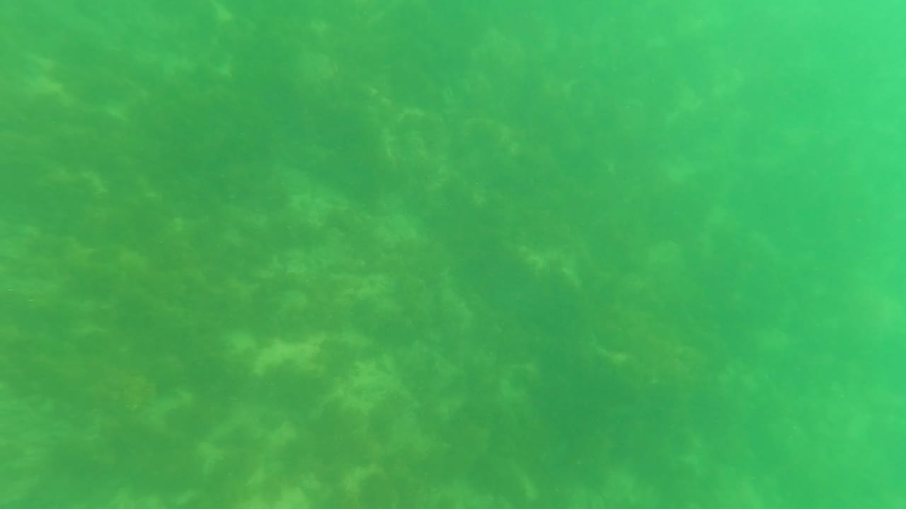 Underwater seabed seen through green water haze