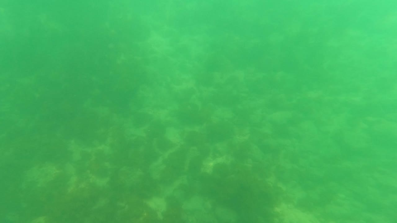 Submerged San Jose del Cabo water with soft green color and faint rocks across the seabed, no visible people.