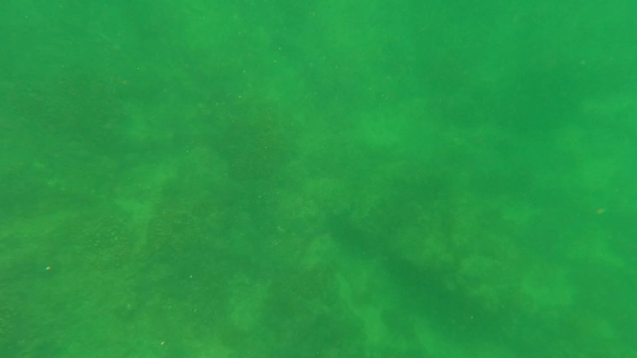 Green underwater view in San Jose Del Cabo, Mexico, with faint rocky and sandy seabed shapes visible through the water and no visible people.