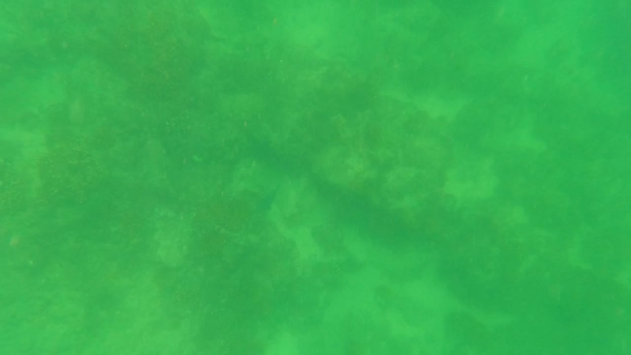Shallow green water in San Jose Del Cabo, Mexico, with a soft view of rocky seabed patches below and no visible people.