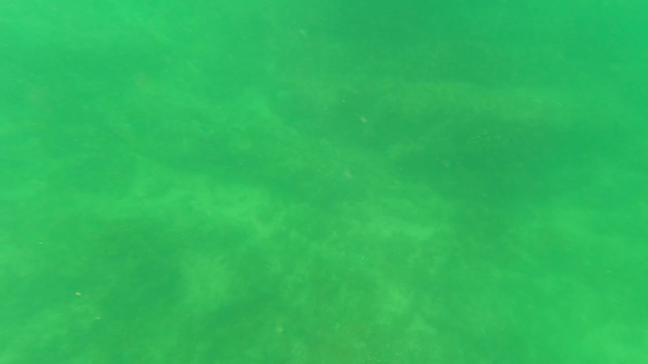 Green-tinted underwater frame from San Jose Del Cabo showing a hazy sandy ocean floor and suspended particles, with no visible people.