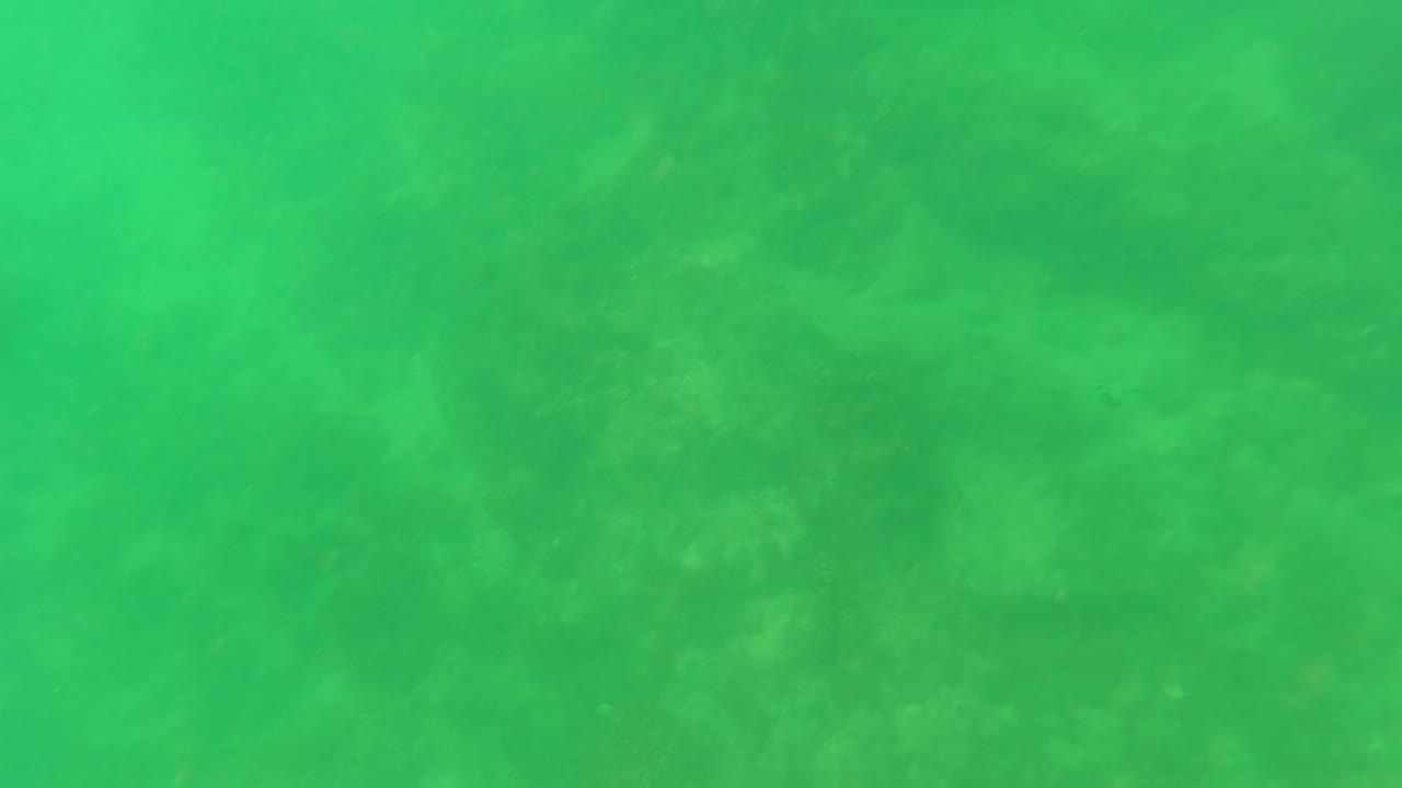 Green underwater view in San Jose Del Cabo with the sandy bottom faintly visible through haze and no visible people.