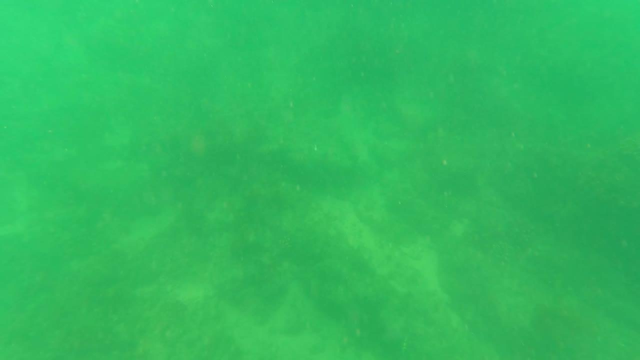 Submerged San Jose Del Cabo frame with green water, subtle darker seabed patches, floating particles, and no visible people.