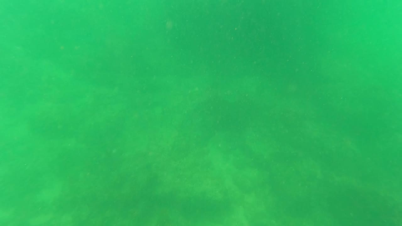Green underwater frame with sandy ocean floor