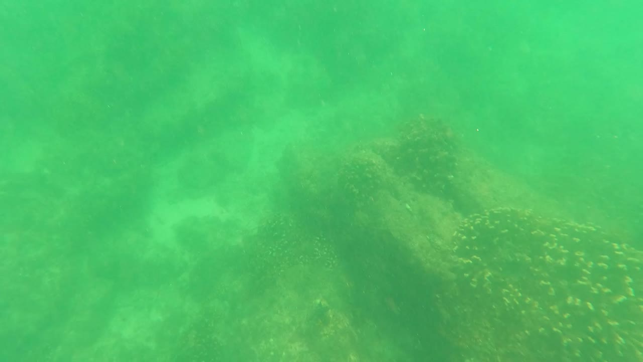 Hazy green underwater rocks with small fish-like shapes.