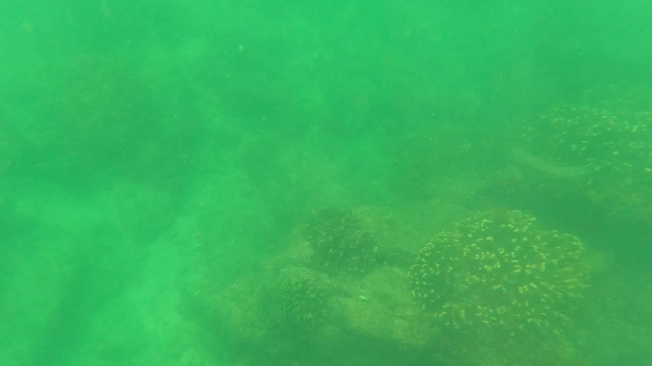 Submerged rocks fade into cloudy green water in San Jose del Cabo, Mexico, with scattered marine growth and no visible people.