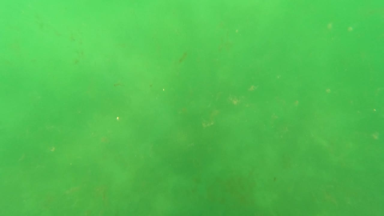 Green underwater water with suspended particles