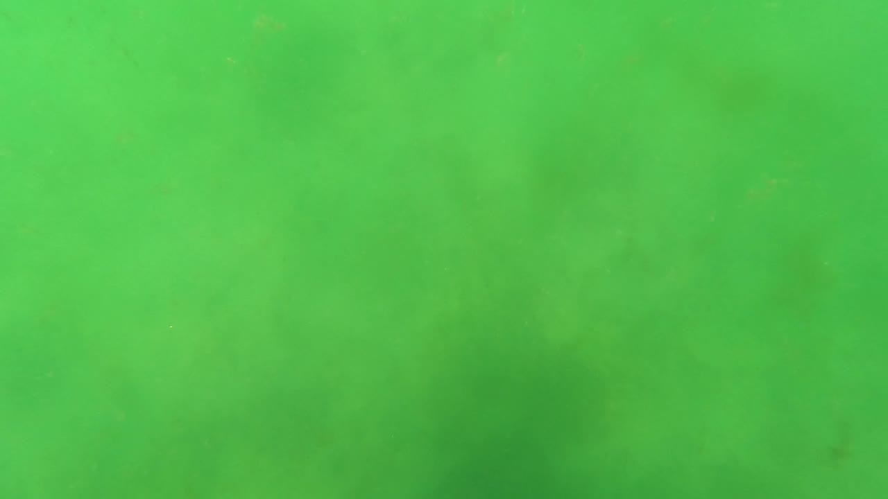 Submerged San Jose Del Cabo frame filled by green water, tiny bright specks, and soft uneven haze, with no visible people.