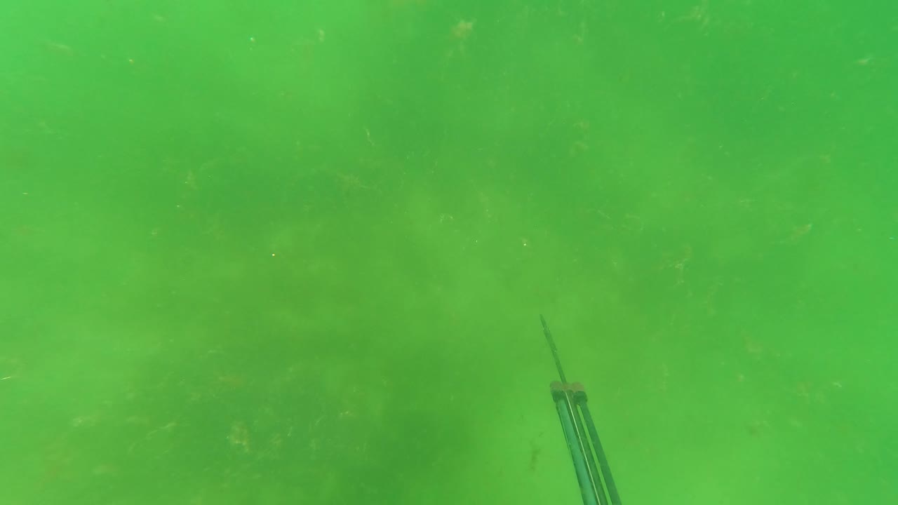 A narrow spear tip appears near the lower right of the murky green San Jose Del Cabo underwater frame, with no visible people.