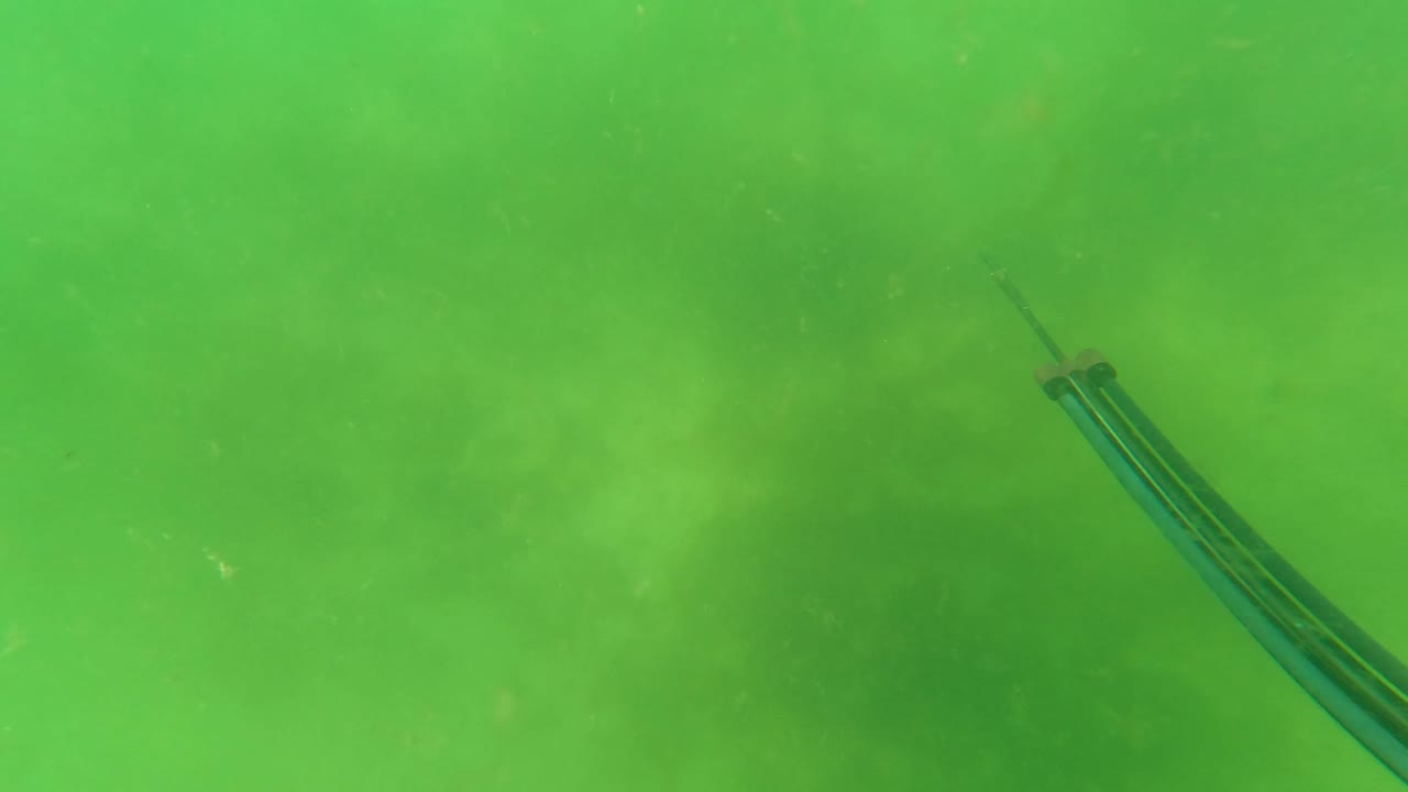 A blue spear shaft angles in from the upper right through murky green underwater haze in San Jose Del Cabo, with no visible people.