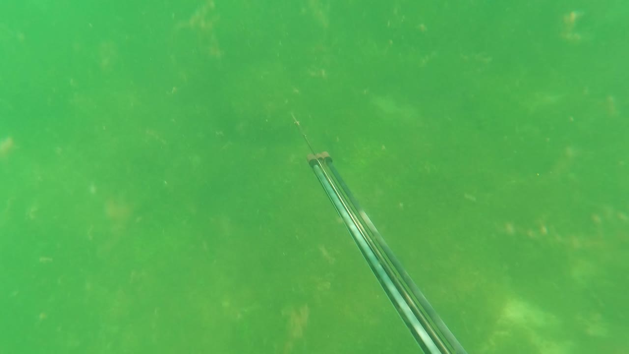 At 0:00 in San Jose del Cabo, Baja California Sur, a spearfishing gun angles up from the lower left through cloudy green water over a faint seabed, with no visible people.