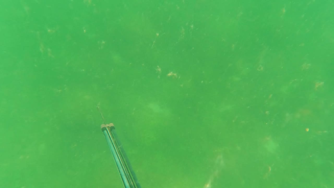 At 0:01 in San Jose del Cabo, Baja California Sur, the spearfishing gun sits lower near the center of a green, particle-filled underwater frame, with no visible people.