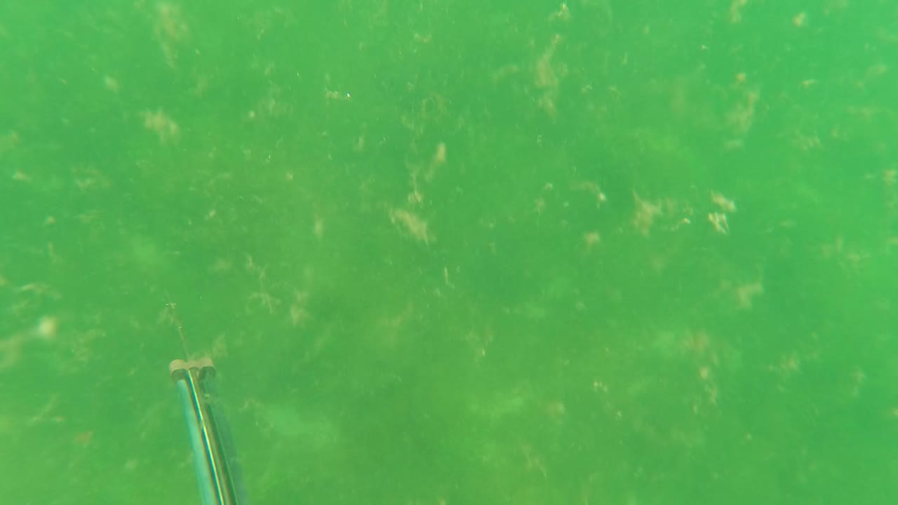 At 0:02 in San Jose del Cabo, Baja California Sur, the spearfishing gun appears near the right side against murky green water and a soft ocean floor texture, with no visible people.