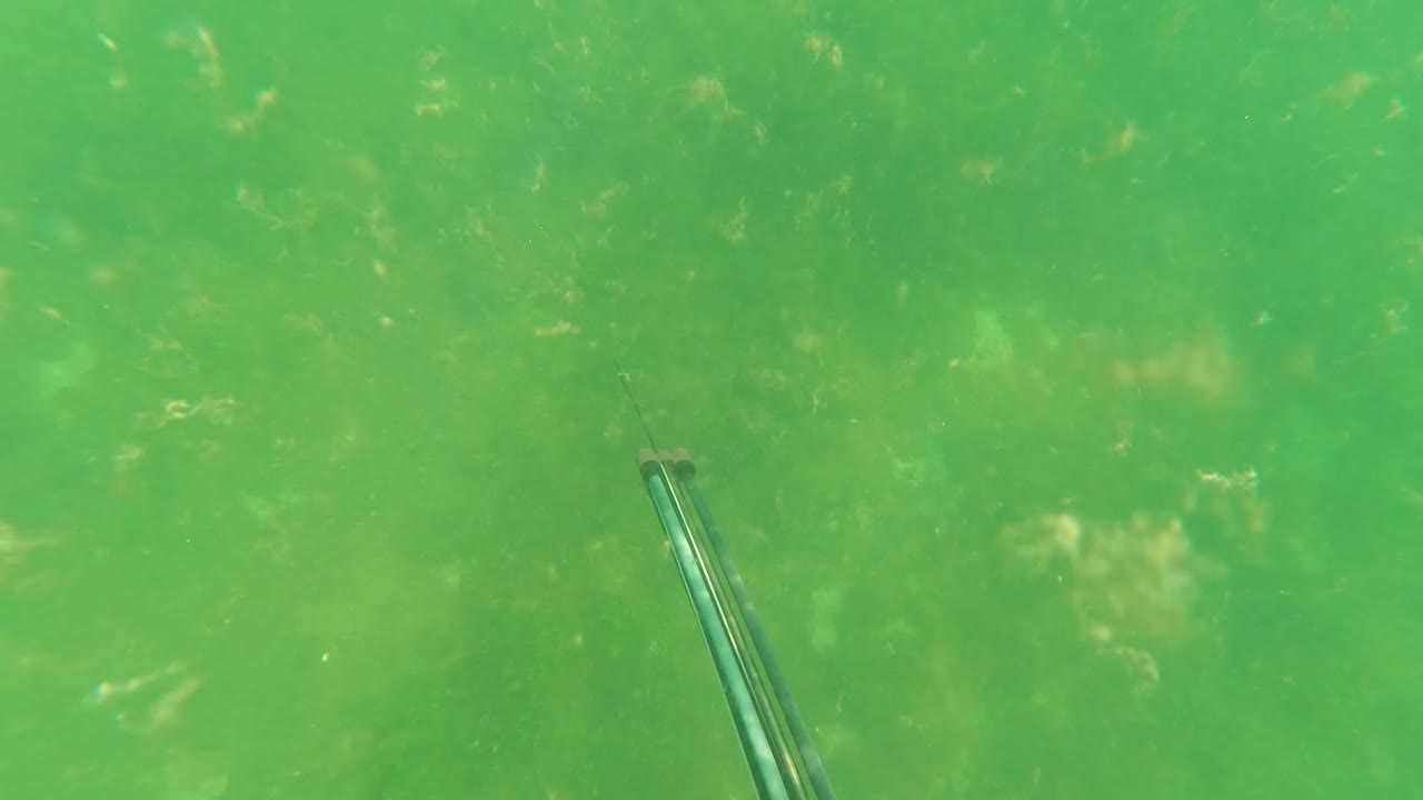 At one second, the spearfishing rod sits closer to the lower center of the green underwater frame in San Jose del Cabo, with algae-like seabed texture and no visible people.