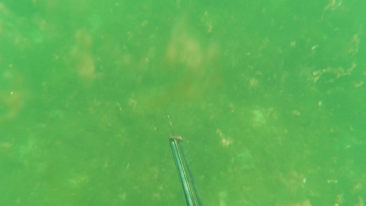 At two seconds, the rod appears near the lower right of the San Jose del Cabo underwater view, with green water, soft seabed detail, floating particles, and no visible people.
