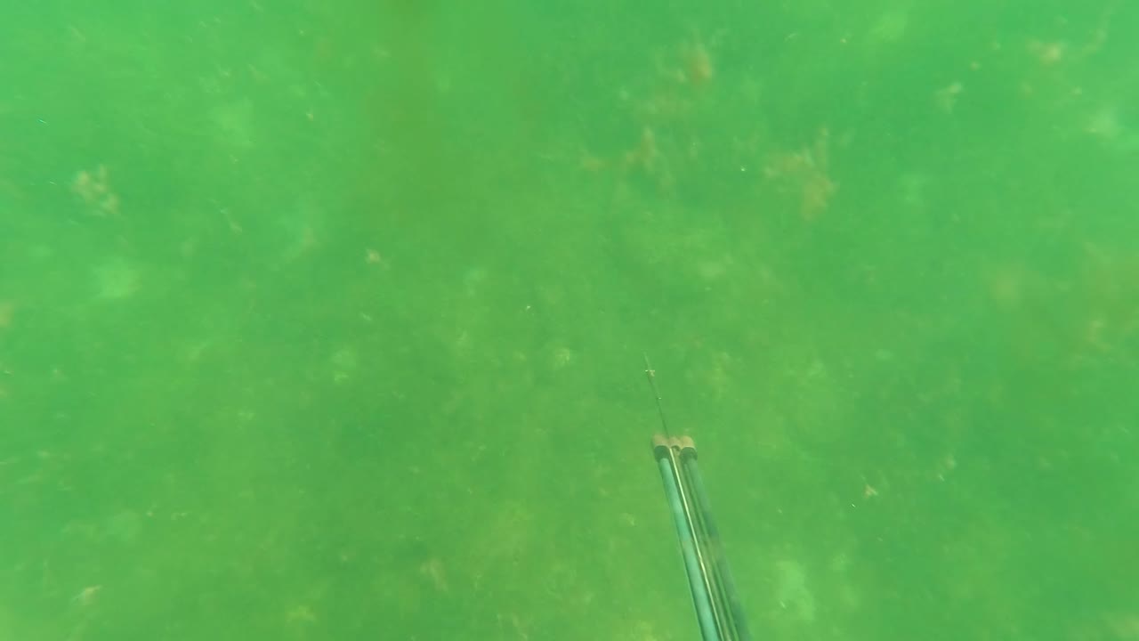 At three seconds, the rod enters again from the lower left in the San Jose del Cabo underwater clip, with cloudy green water, faint seabed plants, and no visible people.