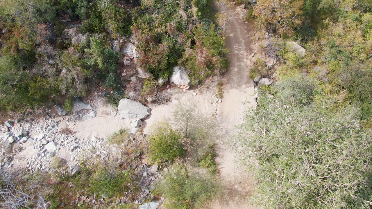 Overhead view in San Dionisio, Baja California Sur showing a narrow dirt path beside pale rocks, brush, and green trees, with no visible people.