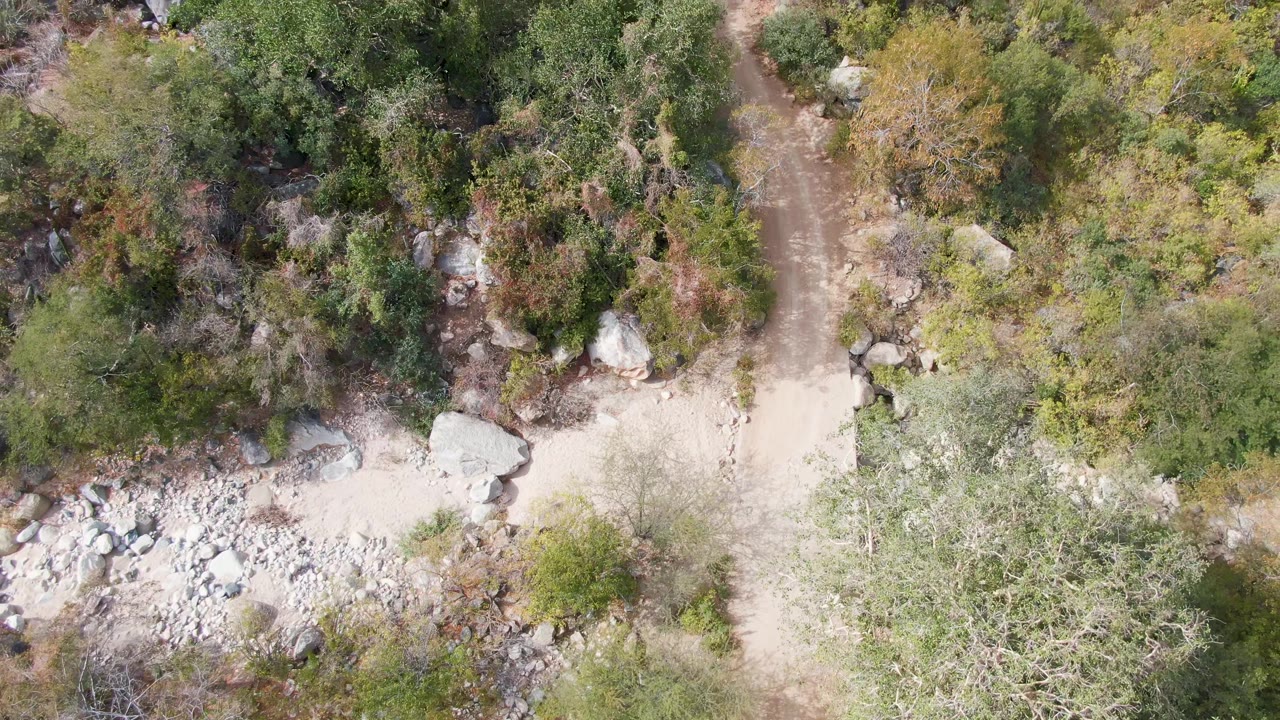 Top-down view in San Dionisio, Baja California Sur showing the dirt track crossing near dense shrubs, scattered boulders, and a leafless tree area, with no visible people.
