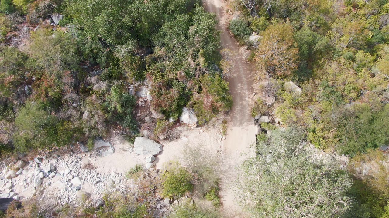 Overhead San Dionisio, Baja California Sur frame with the trail at the upper right, a pale clearing, rocky ground, and dense green-brown brush, with no visible people.
