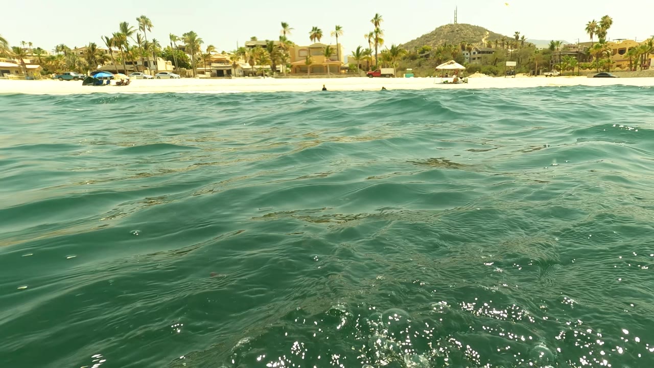 Water-level view in San Jose del Cabo, Baja California Sur, with green ocean ripples in front of a sandy beach, palm trees, coastal buildings, low hills, and no visible people.