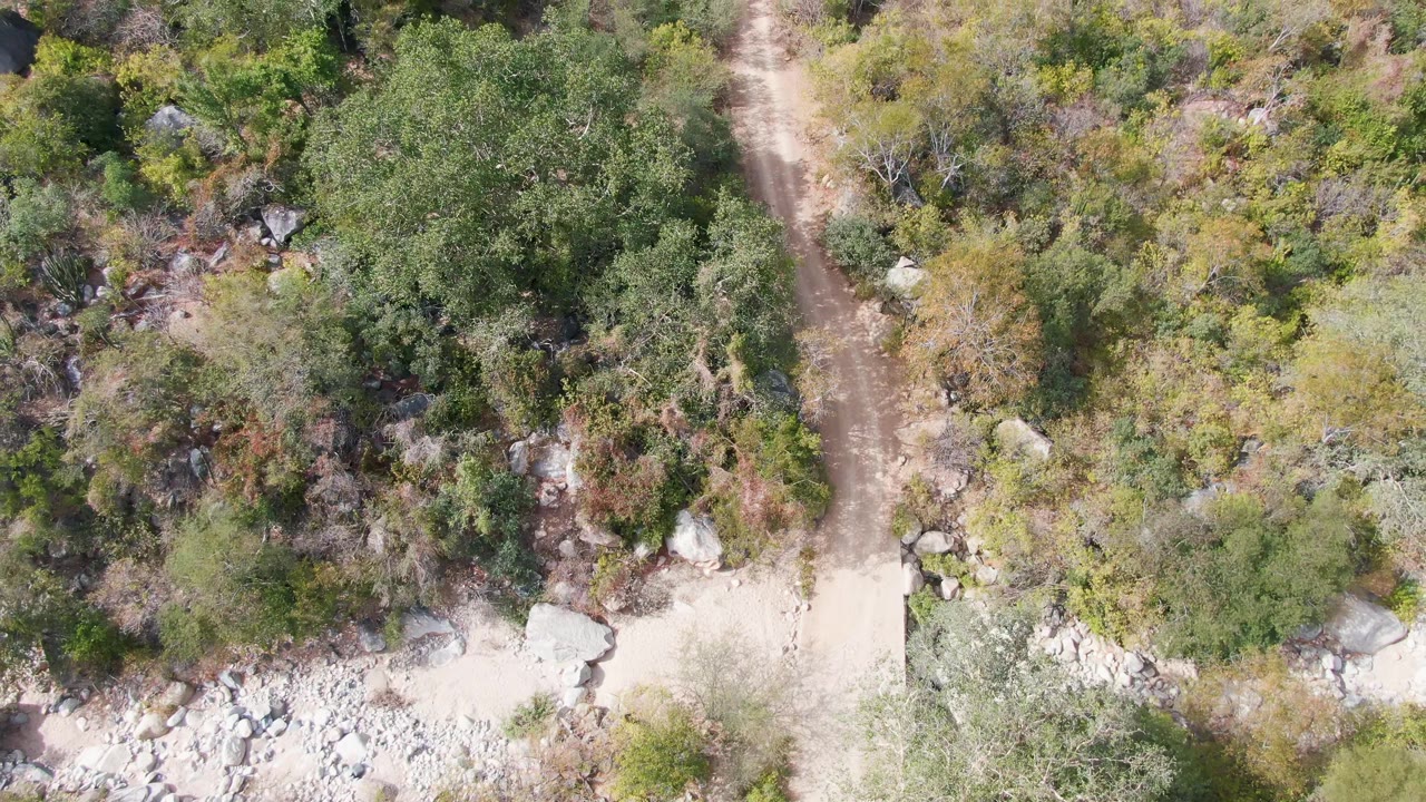 Overhead frame of a dirt path through green and brown vegetation with scattered rocks in San Dionisio, Baja California Sur, with no visible people.