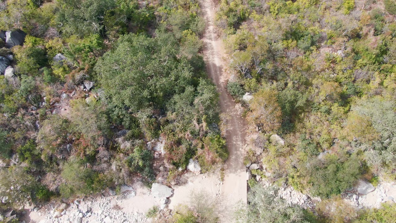 Top-down frame from San Dionisio, Baja California Sur with a narrow dirt path near mixed scrub, boulders, and dry rocky terrain, with no visible people.