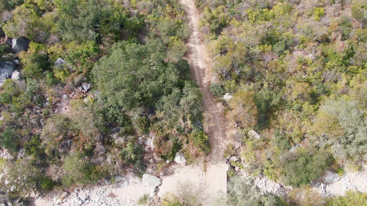 Overhead view in San Dionisio, Baja California Sur with the dirt trail crossing rough green and brown vegetation and small rock clusters, with no visible people.