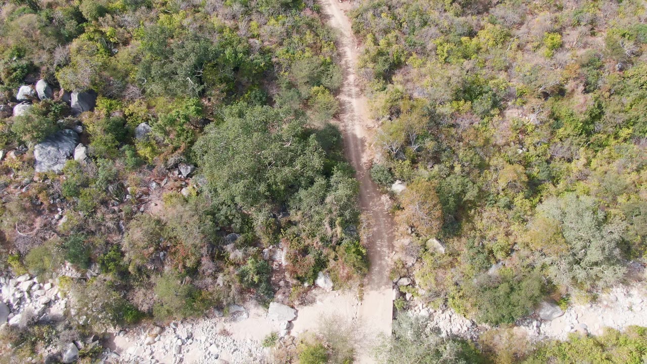 Aerial overhead view of the dirt path beside scattered boulders and mixed green brush in San Dionisio, Baja California Sur, with no visible people.