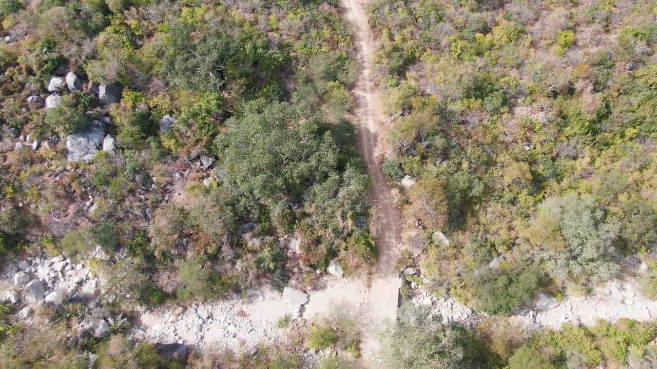 Overhead frame of a dirt path intersecting pale rocky ground and dense brush in San Dionisio, Baja California Sur, with no visible people.