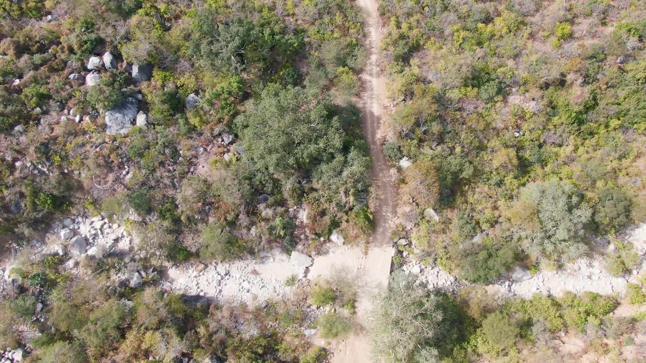 Overhead frame from San Dionisio, Baja California Sur showing pale dirt tracks, scattered rocks, scrubby trees, and no visible people at the start of the clip.
