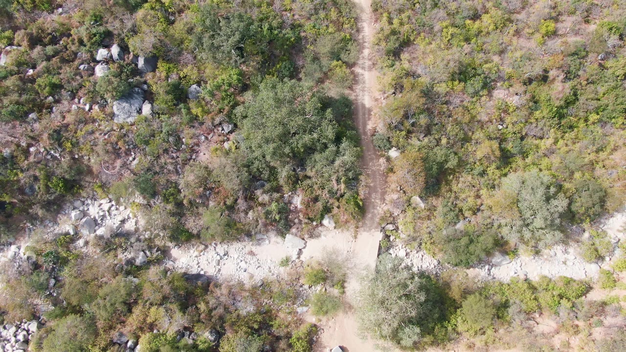 Aerial frame in San Dionisio, Baja California Sur with an intersecting dirt track, dense green brush, boulder clusters, and no visible people.