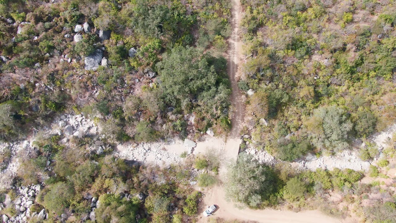 Overhead dirt road and brush with a small white car near the lower edge.