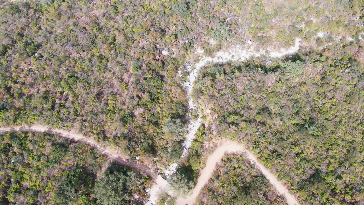 Aerial frame in San Dionisio, Baja California Sur, with the dirt road bending near the lower edge while a pale stream channel angles through dense mixed vegetation, with no visible people.